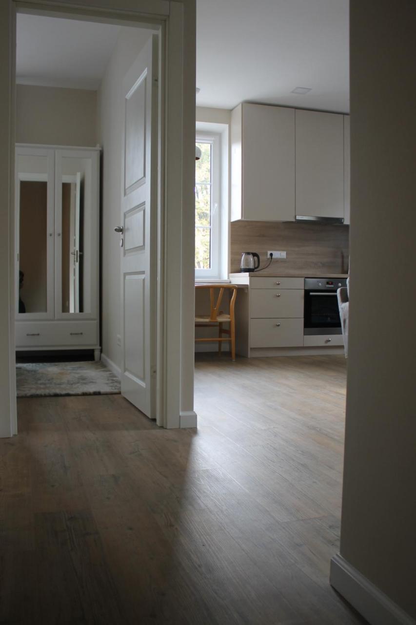 Smartflat & New Apartment City Center Kaunas Buitenkant foto