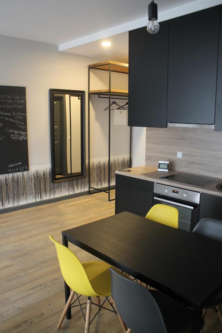 Smartflat & New Apartment City Center Kaunas Buitenkant foto